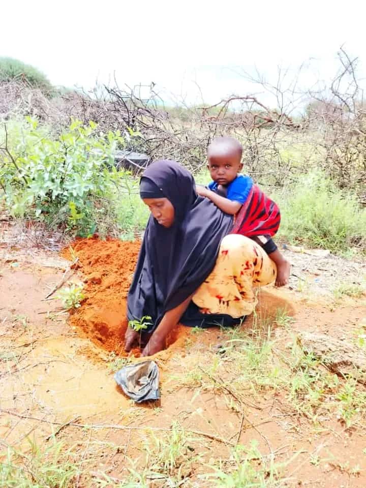 amin_dadaz's tweet photo. This mother from Mandera devoted her time to the noble cause of planting trees.

Picture of the day!!! https://t.co/yWNLca31pu