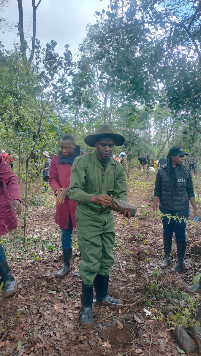 RBAKenya's tweet photo. Saving for retirement is like planting a tree today to enjoy its fruits in future. Join a #pensionschemeKE today and secure your sunset years. #JazaMiti #NationalTreeGrowingDay #RBAGreenMission #ASKRBA https://t.co/FpX4GhMmYT