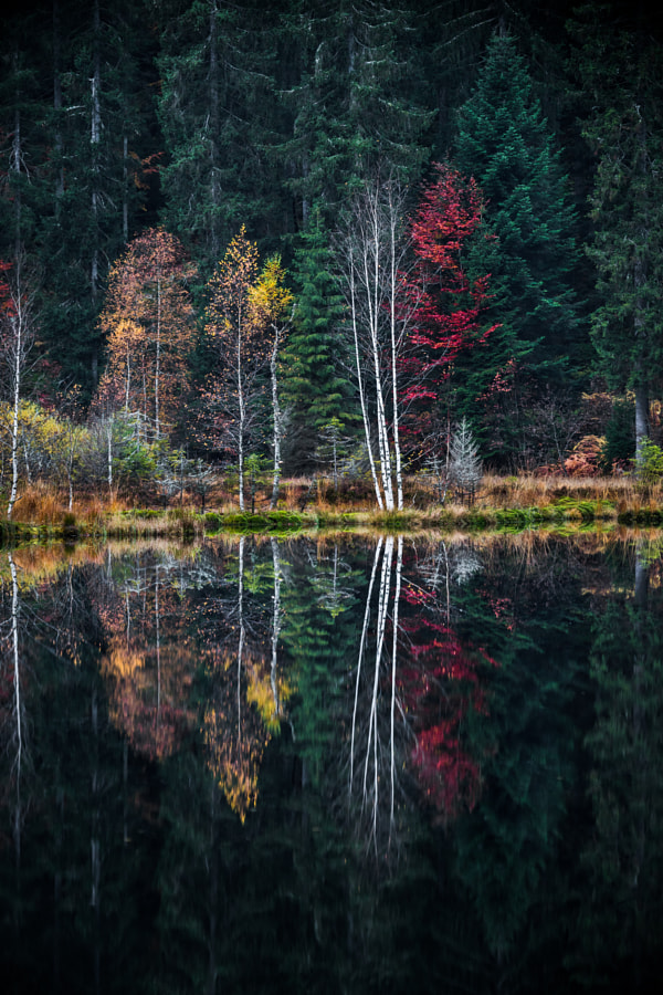 🌎 Autumn 📸 Mathieu Zeggiato #travel #nature #photography #naturephotography