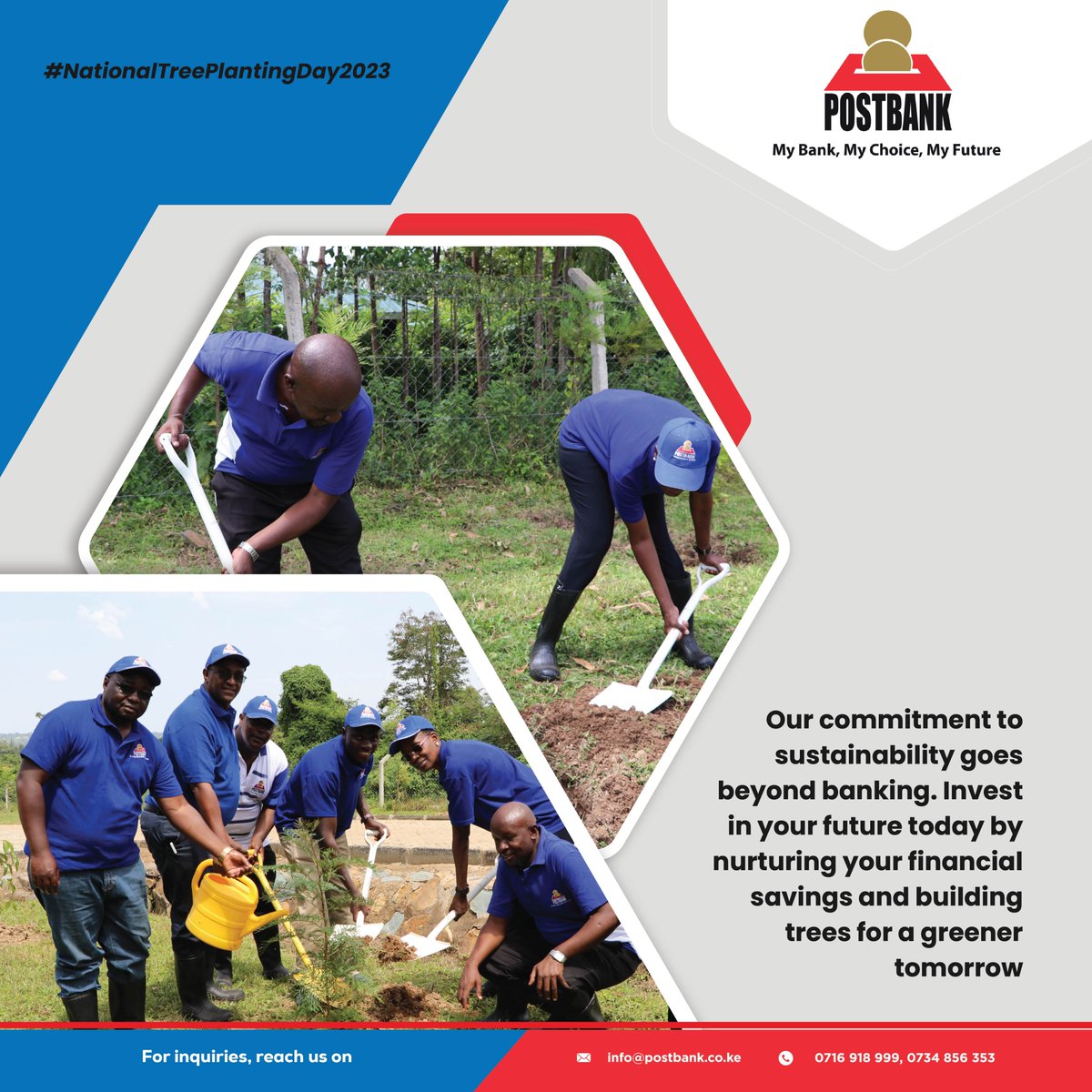 Postbank1's tweet image. Let&apos;s celebrate National Tree Planting Day by sowing seeds of financial stability and environmental responsibility. Plant a tree today for a more sustainable tomorrow. 🌱

#NationalTreePlantingDay2023