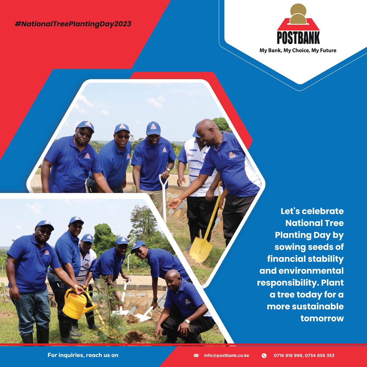 Postbank1's tweet image. Let&apos;s celebrate National Tree Planting Day by sowing seeds of financial stability and environmental responsibility. Plant a tree today for a more sustainable tomorrow. 🌱

#NationalTreePlantingDay2023