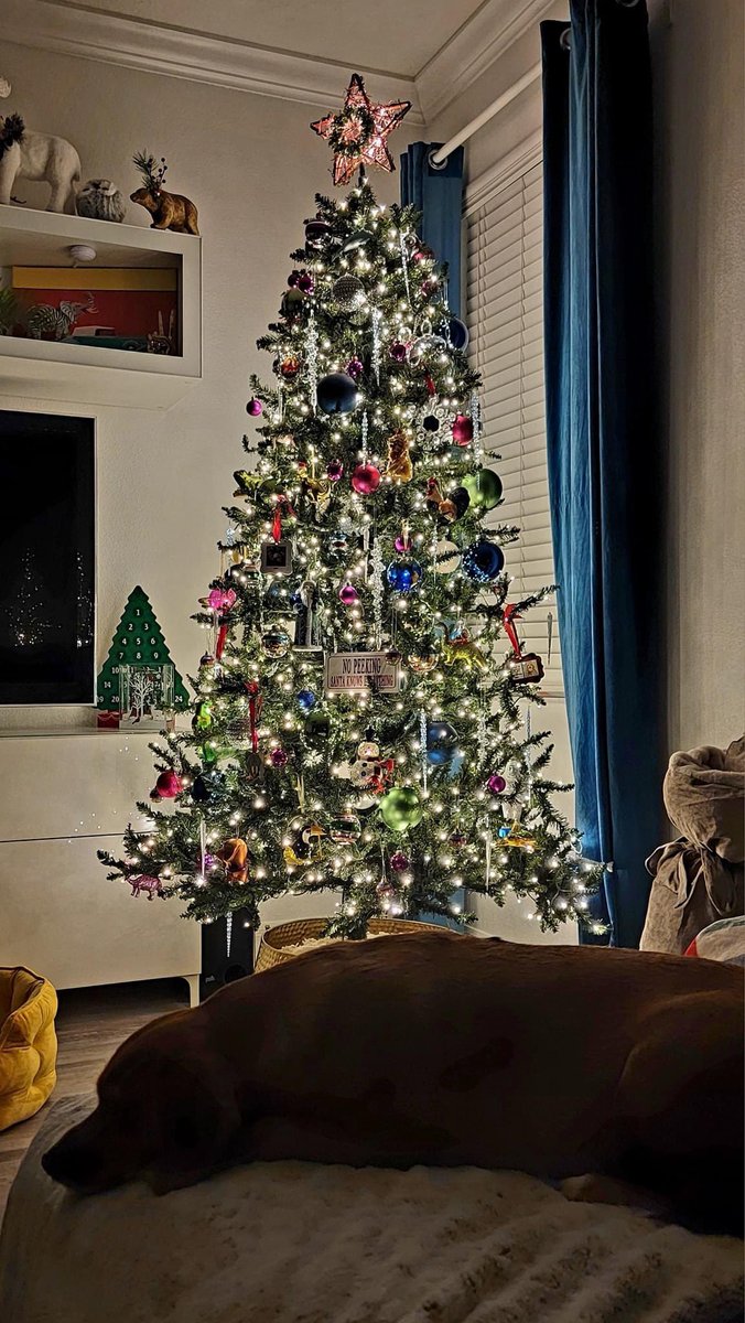 It's beginning to look alot like Christmas!🎄🎅