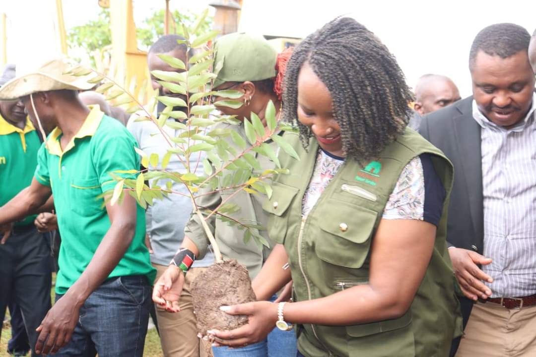 katrinacate06's tweet photo. The devolution PS @Terry_Mbaika on Saturday flaggedoff  tree growing exercise at Mukuyuni,and led the community in commemorating the 3 days event.
#JazaMiti 
#LetsGoGreenTogether!
@EnvironOdongo @HonTuya @BenKyallo @Israel_Adam_ @kalokikilisya @itsEvansMoi @MOHA_made_ @GvnMutula https://t.co/61skzUANHb