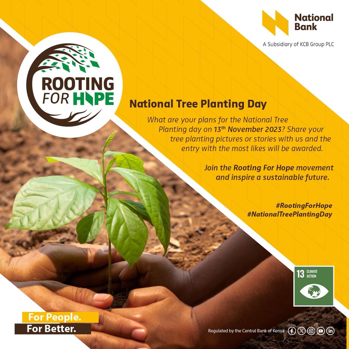 National_Bank's tweet photo. Today we are at the Thika Garrison where we have partnered with the Kenya Defence forces to plant over 10,000 trees. #TreePlantingDay

Share your tree planting picture &amp; story with #RootingForHope and the pic with the most likes/shares will carry the day. https://t.co/H6plPtIGJD
