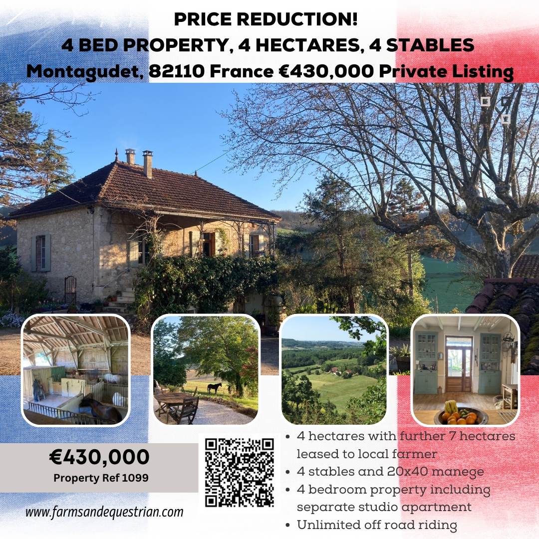 ⚡️ PRICE REDUCTION! 
🌏️ Montagudet, 82110 France €430,000

✅ 4 hectares with a further 7 hectares leased to local farmer
✅ 4 stables and 20x40 manege
  
👉 farmsandequestrian.com/properties-all…

#FarmsAndEquestrian #RuralLife #PropertyAndLifestyle