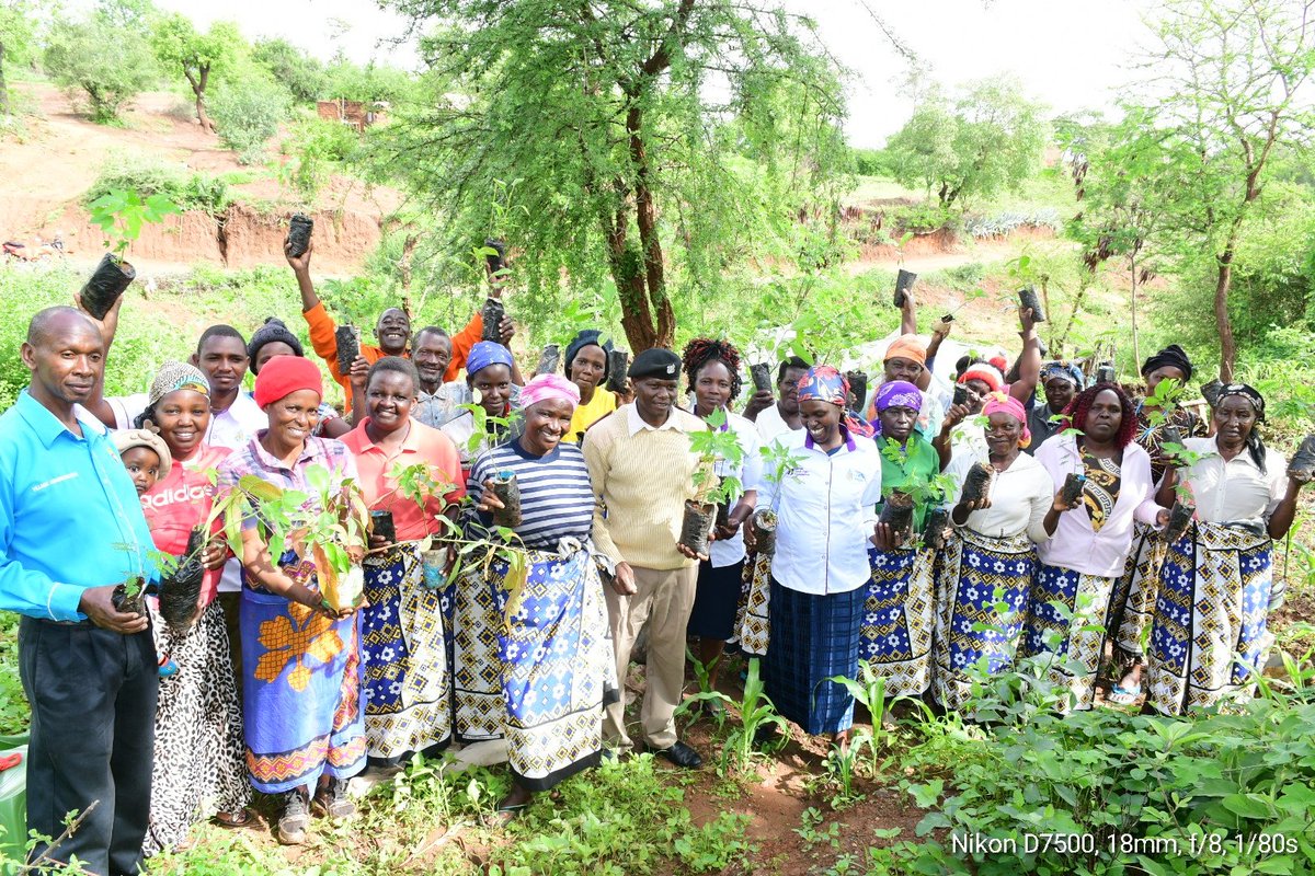 Africa Sand Dam Foundation (ASDF) asdf_kenya Twitter Profile Sotwe
