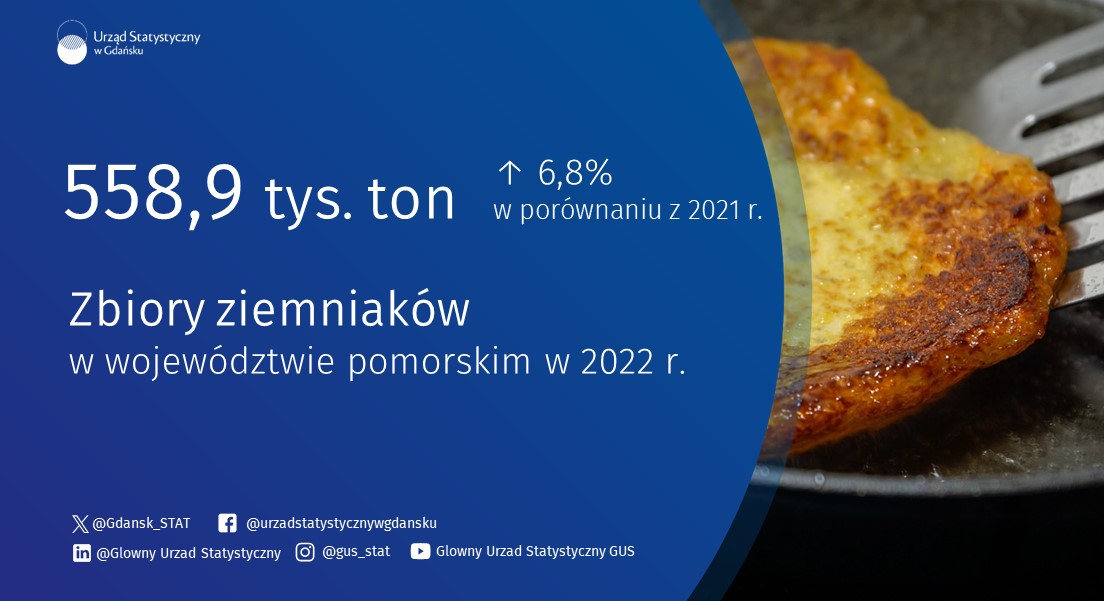 13 listopada to Dzień Placków Ziemniaczanych 🥔
Potrawa znana była już w XVII w. Placki można jeść na słono, słodko lub z dodatkiem różnych sosów.
Sprawdź uprawy #ziemniak.ów w #pomorskie 👇

tiny.pl/cw5xk

@gdansk @MiastoGdynia #rolnictwo @PODR_pl