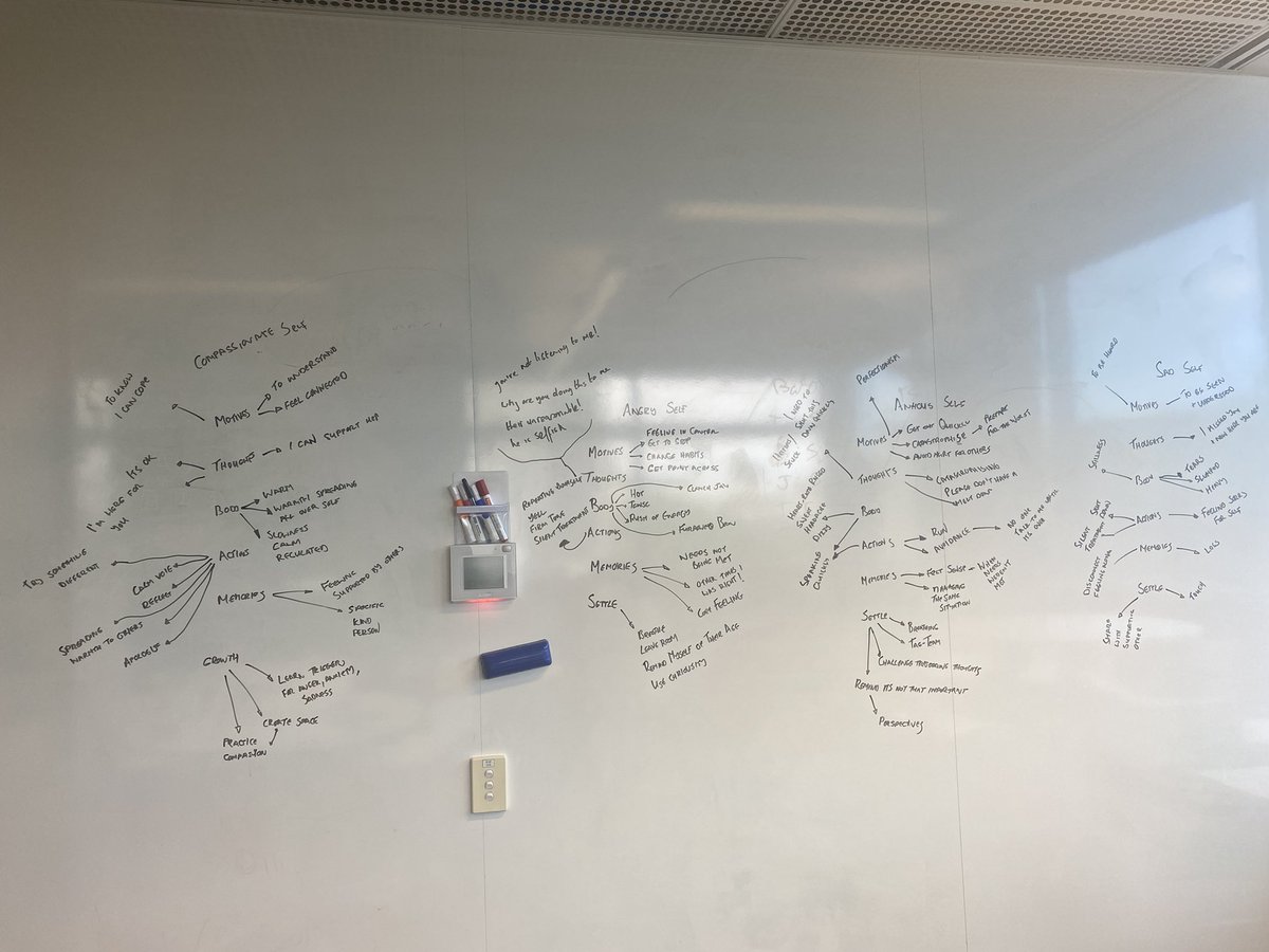 Day one at the Matilda Centre, University of Sydney, Australia…working through multiple-selves as part of our CMT-Teachers/Educator programme #compassion @DerbyUniPsych @CompMindFound @TheMatilda_USyd