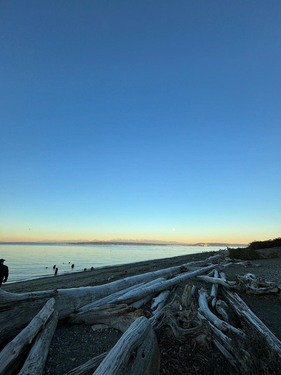 saecidal's tweet image. Post a pict