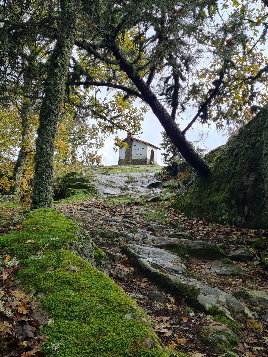 Duruelo Naturaleza Sideral tweet media