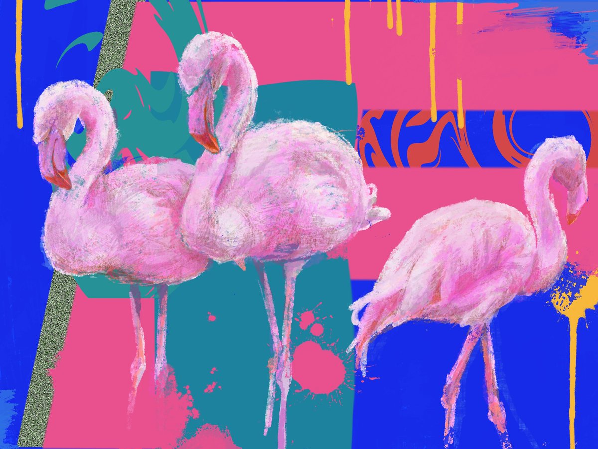 🦩 
#Procreate #プロクリエイト #Art #DigitalArt #drawing #絵描きさんと繋がりたい #冬の創作クラスタフォロー祭り