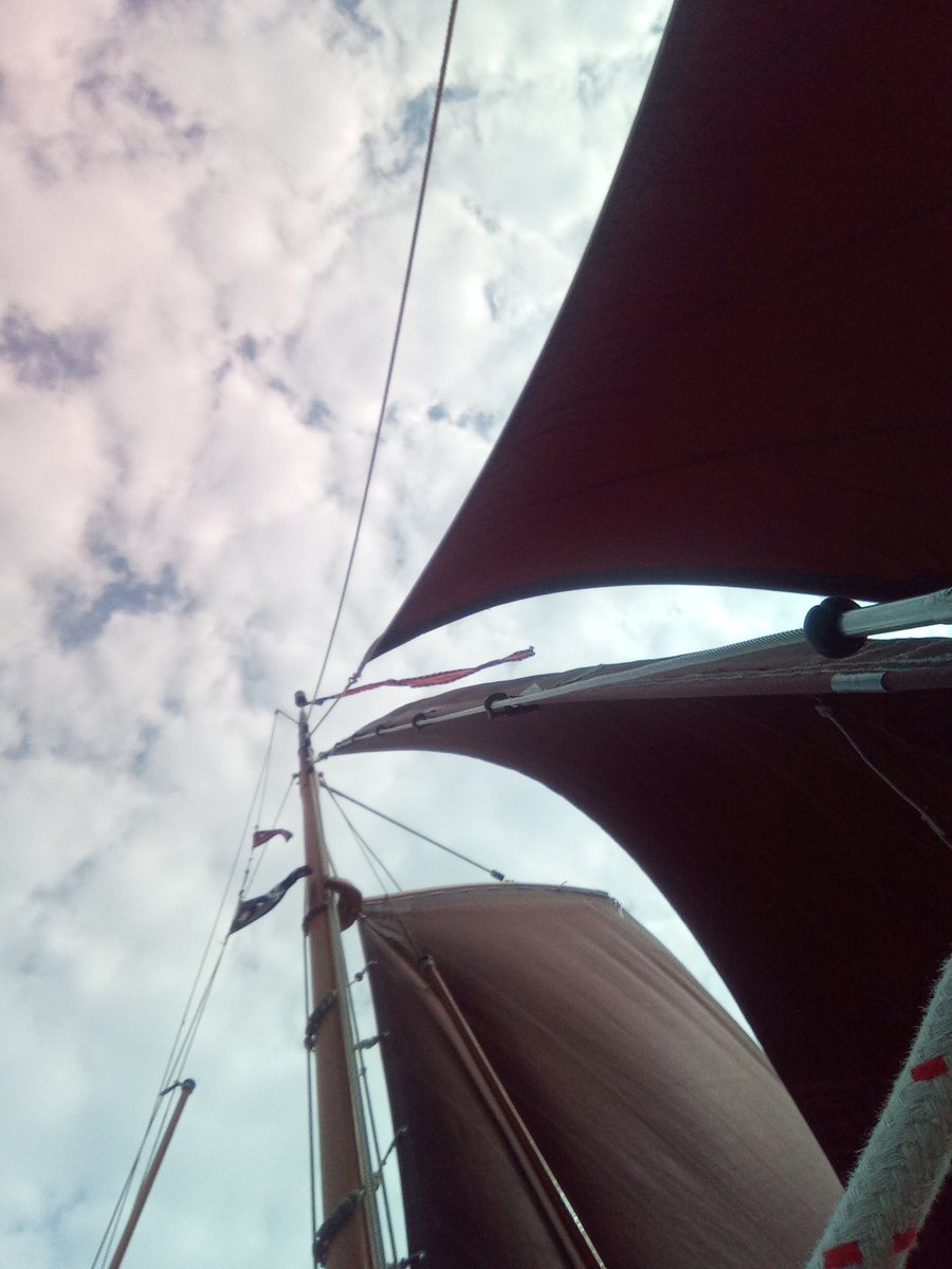 WiteRabid (it) tweet media