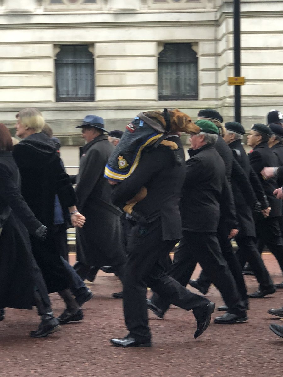 Shelldrake999's tweet image. After all the aggro and vitriol the day before it was good to see traditional British values back on display in central London yesterday.  First time I’ve participated in the ceremony.  A large reassuringly professional police presence kept us safe.  My thanks to all involved.