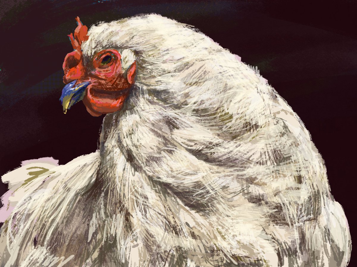 ちょっとだけ加筆 🐓 
#Procreate #プロクリエイト #Art #DigitalArt #drawing #絵描きさんと繋がりたい #冬の創作クラスタフォロー祭り