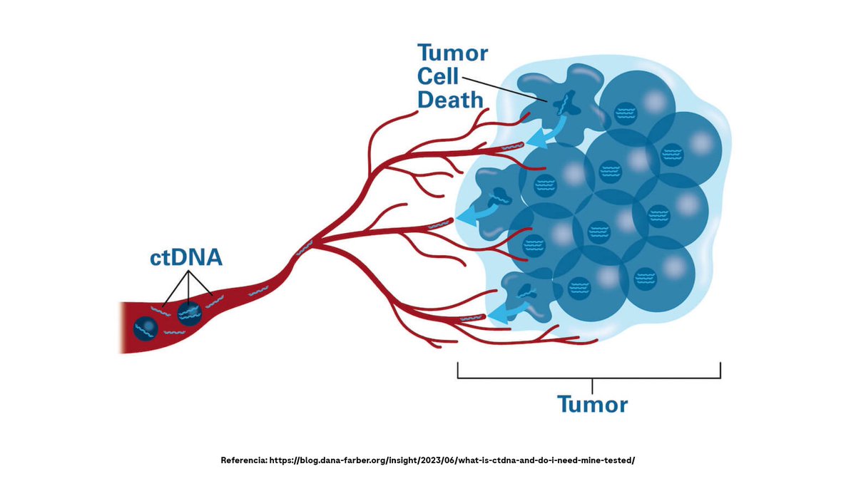 In cancer patients the levels of cfDNA may increase up to 50-fold, likely due to higher cellular turnover rate. The #cfDNA released by tumor cells is called #ctDNA.