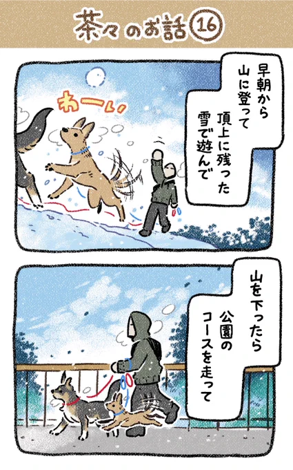 保護犬茶々のお話【第16話】 だっこ…ぬくぬくぬくぬくだっ… #漫画が読めるハッシュタグ