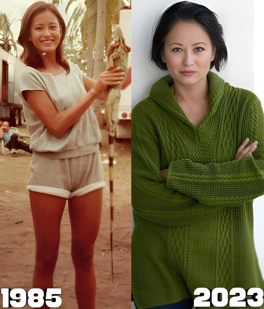 Юлиян Динев в X: „Julia Nickson-38 Years After Acting the movie Rambo First Blood 2 (1985) #Hollywood https://t.co/YsZAUMOY2Y“ / X