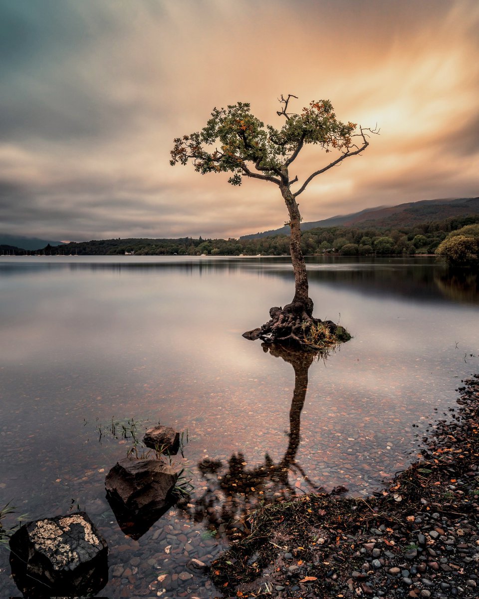 Loch Lomond

#Scotland #sunsetphotography #TravelTheWorld #lonetree #ThePhotoHour