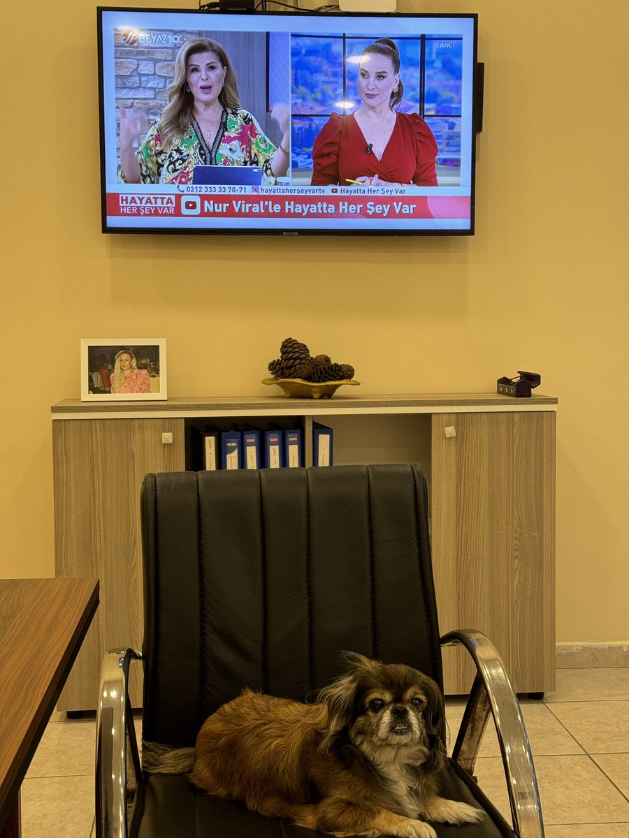 #nuraysayari #nurviral <a href="/nurviral/">NUR VİRAL</a> <a href="/beyaztv/">BEYAZ TV</a>