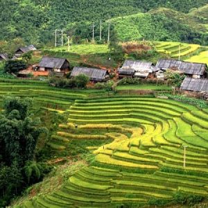 Sapavivu's tweet photo. Bản Má Tra và Bản Tả Phìn hai ngôi làng này thuộc dân tộc H'Mong và Dao Đỏ, nổi tiếng với cánh đồng bậc thang và làng nghề truyền thống. Du khách sẽ trải nghiệm vẻ đẹp tự nhiên, ẩm thực độc đáo và áo dệt thổ cẩm truyền thống.
#Sapa #Dulich #TipsDuLich https://t.co/59IXeyCpNt