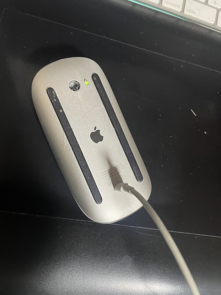 marison109's tweet image. はいはいいつもの
#Magicmouse2