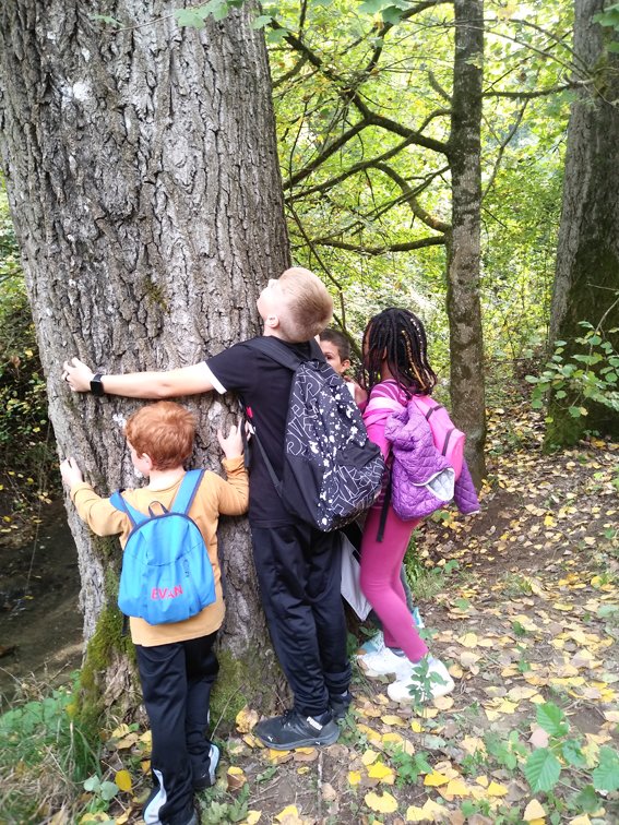 Visite guidate investigando sulla natura e conoscendo gli alberi sabato 18 e domenica 19 novembre a spasso nel Parco Foto Teresa Di Cosimo <a href="/ParcoTreja/">ParcoValledelTreja</a> shorturl.at/EW169