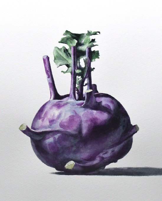「eggplant no humans」 illustration images(Latest)