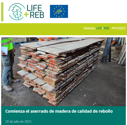 LifeRebollo's tweet photo. Aquí puedes descargarte nuestro último Newsletter https://t.co/Aqw2cO4kcG 

#LifeRebollo    #SilviculturaSostenible   #SmartClimateForestry    #rebollo   #quercuspyrenaica   #LIFEprogramme   #LIFEproject   #LIFEprojects   #LIFEis30 https://t.co/eOoecyatXN