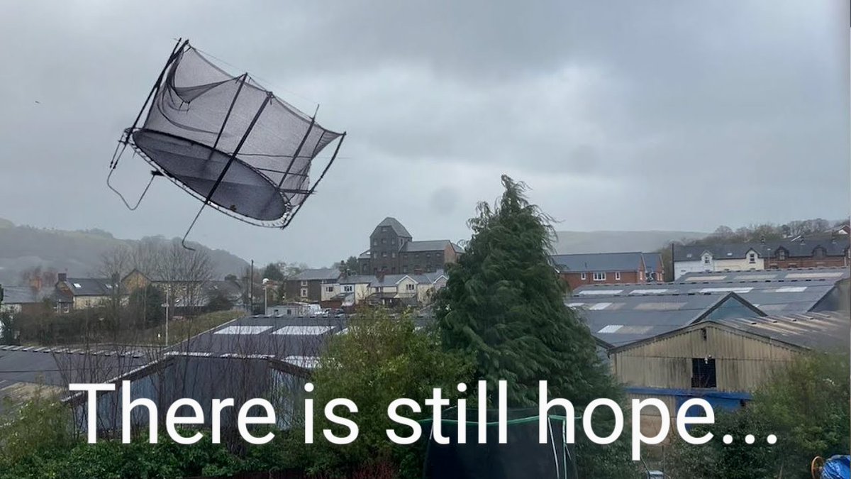 Michael Ryan tweet media