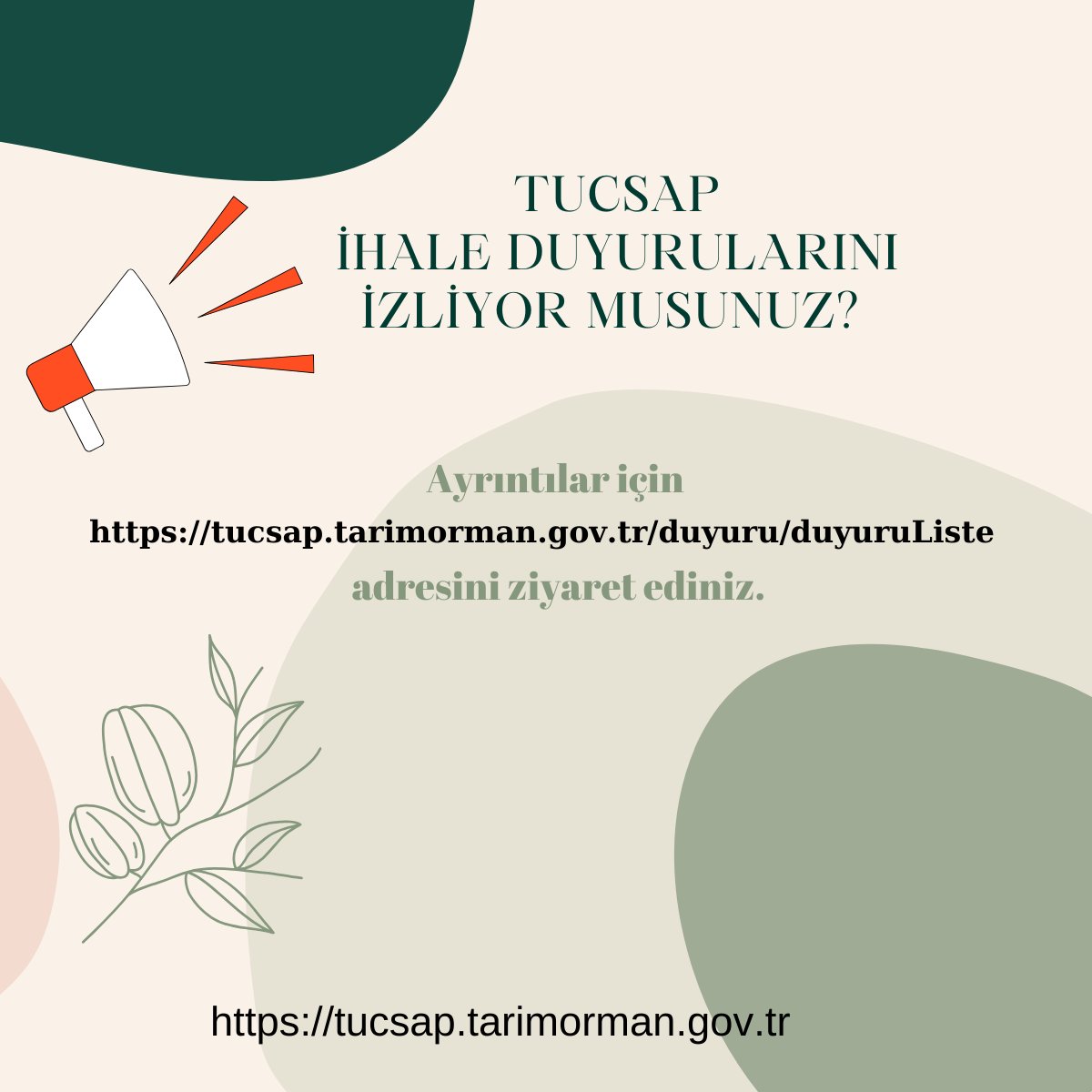TUCSAP (@tucsap) on Twitter photo 
