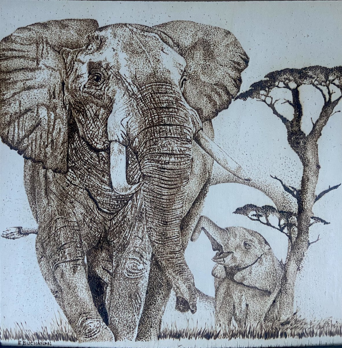 EBuchananArt's tweet image. New piece #pyrographyart
Titled: Walking with Elephants
#art #woodburningart #artist #elephants #loyal #strength
