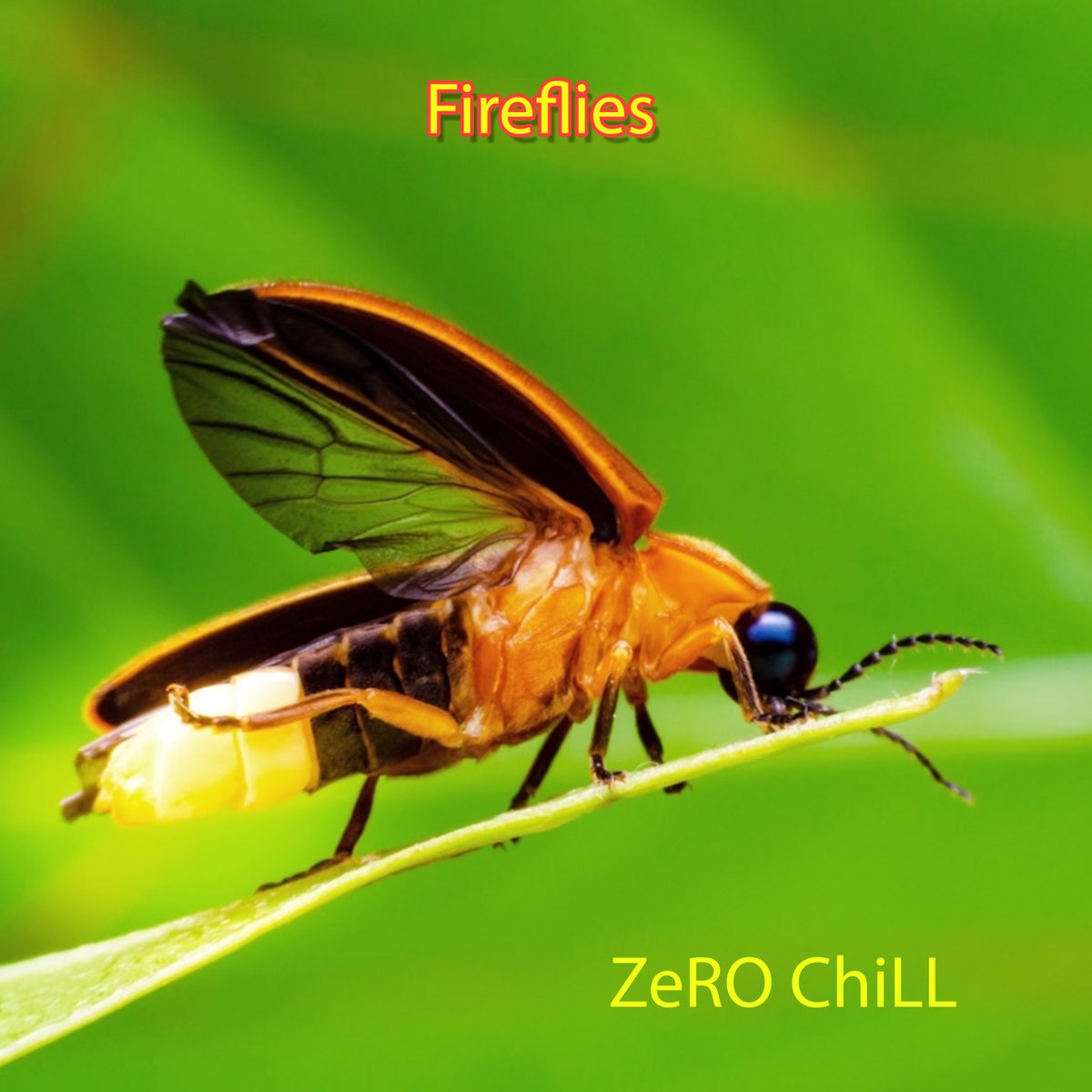 ZeROChiLLArtist's tweet photo. #ostereo New Album: Fireflies - ZeRO ChiLL #ZeROChiLL
https://t.co/VxhqhK6X96 https://t.co/KVP3MbxXCy