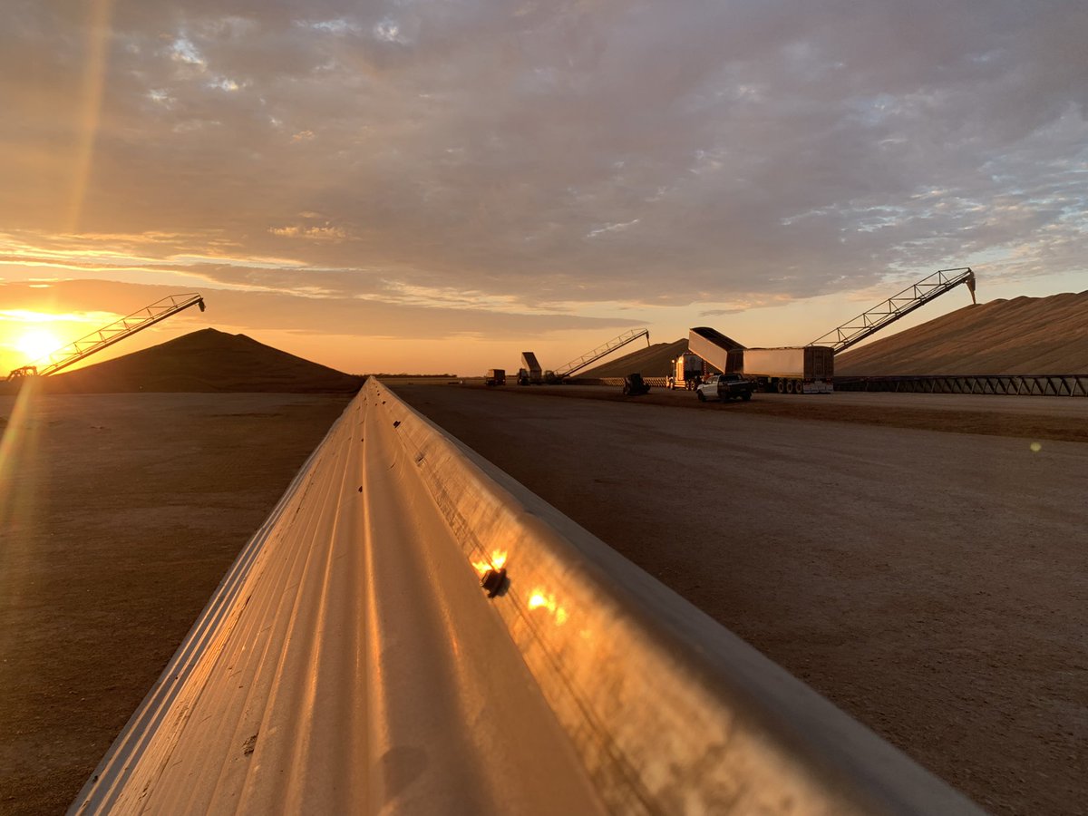 1st #wheat bunker ✅