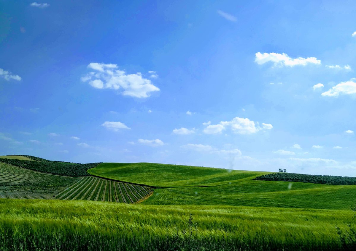 Hoy si me permiten vamos a hablar de ese aproximado 3% 

Que son (y se dice pronto)  el porcentaje de personas que crean alimentos en España, estos paisajes que vemos por carreteras y demás para el resto la población.