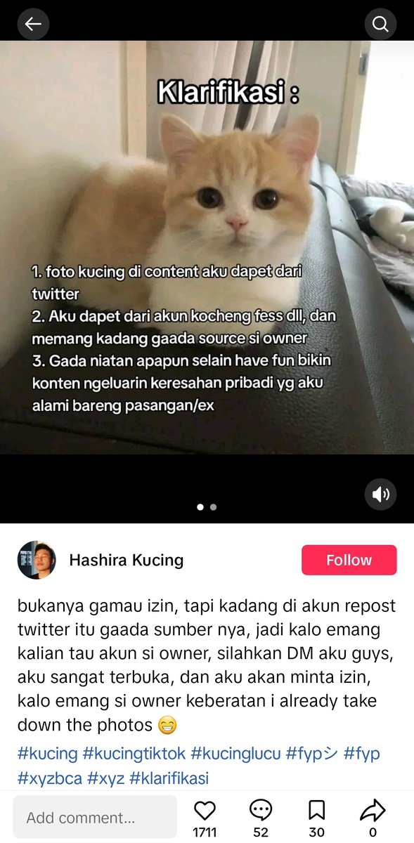Ciku 🦁🍉 tweet media