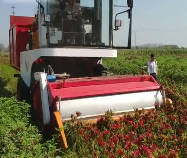 linxiang0721's tweet image. A picking machine can pick hundreds of kilograms of peppers per hour. The picking machine can also adapt to different pepper varieties and tree types.
anoncn.com/news/agricultu…
#agromachine #plow #plough #harrow #cultivator #harester #tractor #agro