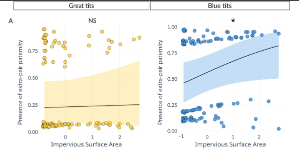 Joanna Sudyka tweet media