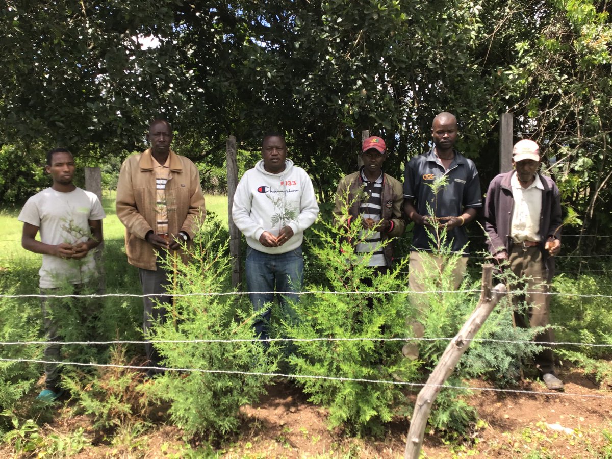 Our resolve to reduce push back climate change threats as per the Paris Agreement,is still alive today as i joined staff and neighbours in a major tree planting exercise.We are always ready to contribute to achievements of our National-Determined committments.