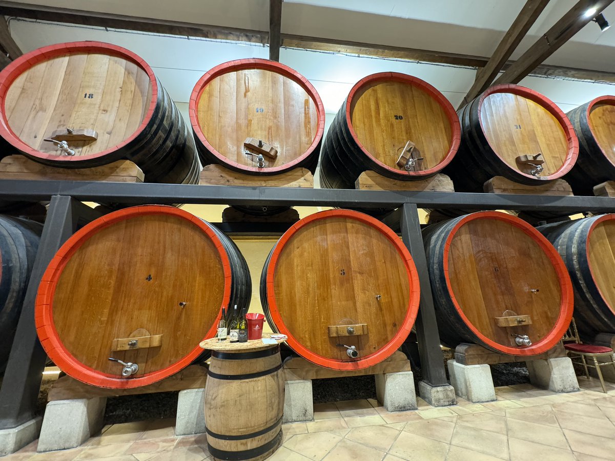 #novembershapeschallenge The shape of wine barrels #France #photography #ChateauneufDuPape #travel