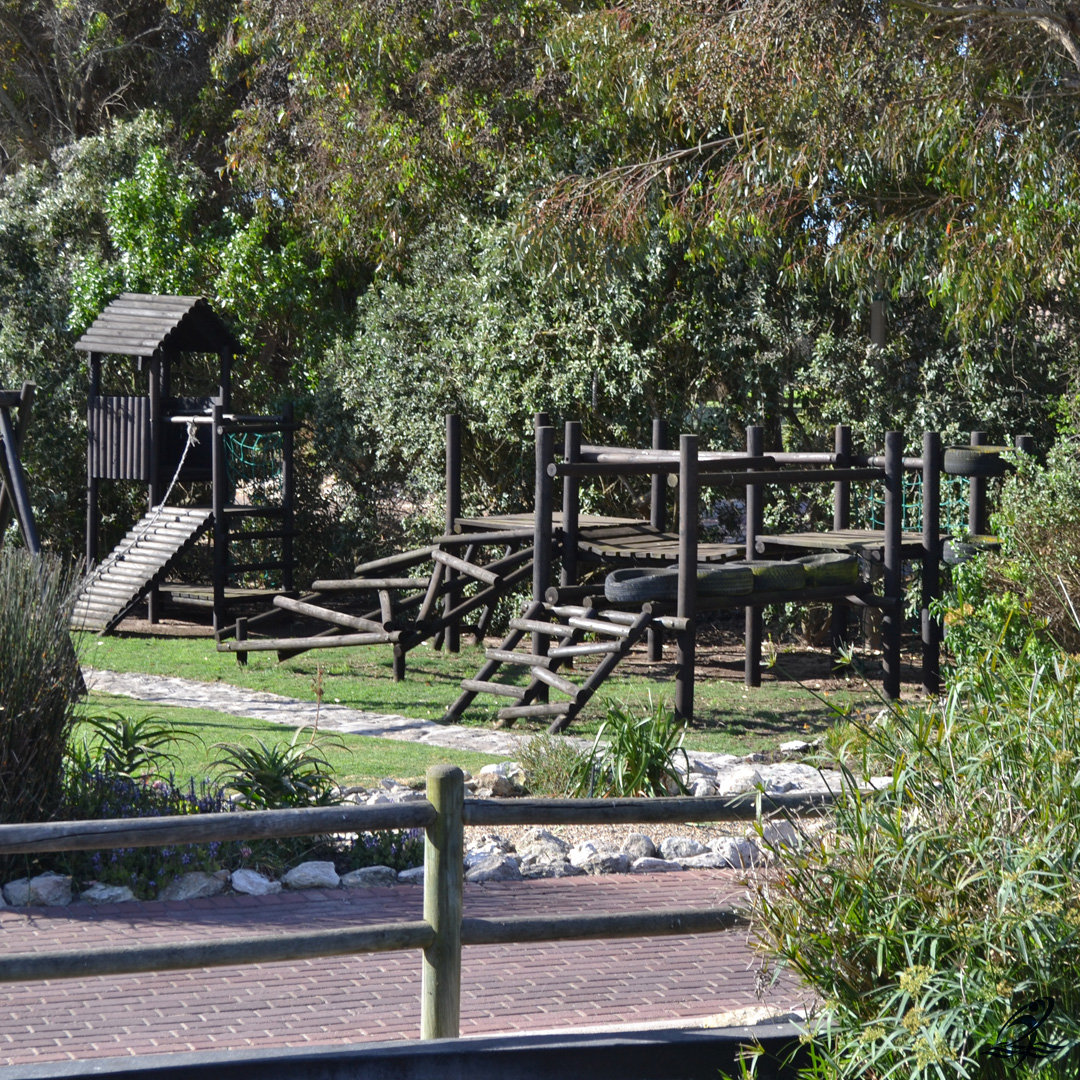 LCEgolfestate's tweet image. Our child-friendly facilities, make Langebaan Country Estate the ultimate family haven. Explore, play, and create cherished moments together. 🏡🤸‍♂️ #LCEFamilyFun #KidFriendlyEstate #familymemories