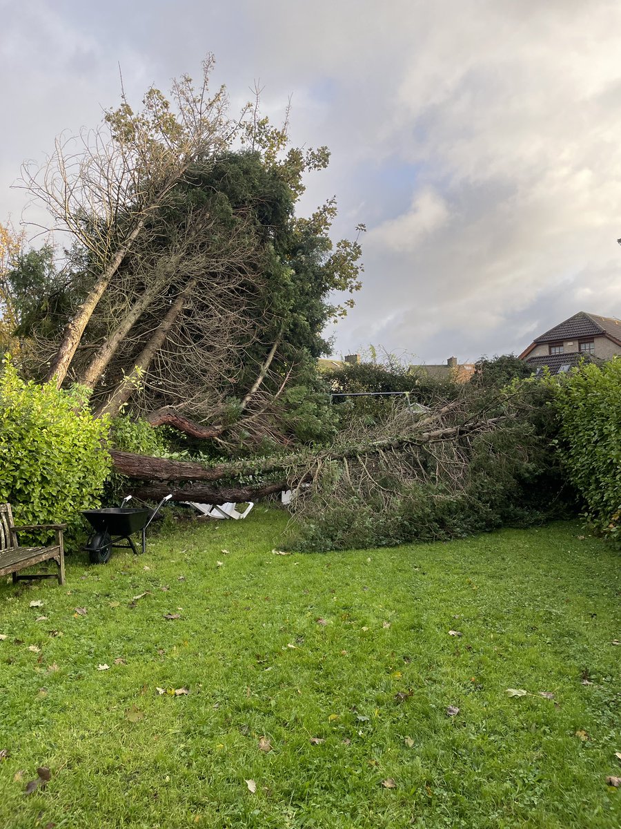 Han_Stynes's tweet image. I think that’s what we’d call a #debidowner #stormdebi 🫣