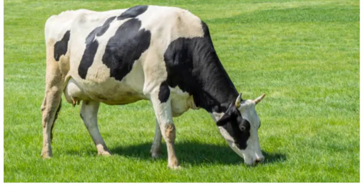 BABAMWASSA's tweet image. Kuna vitu nashindwa kuvielewa.