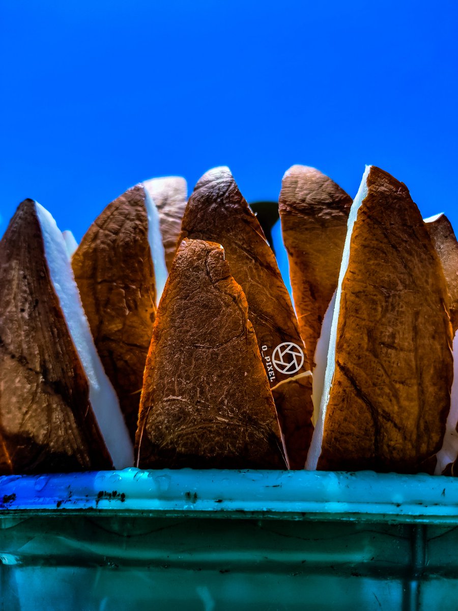 Alóyinlépòn of Ilaro tweet media