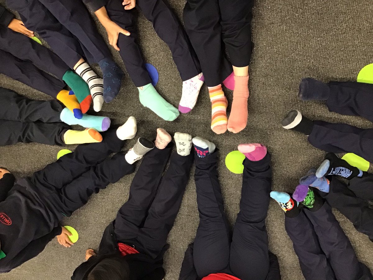 Halley Year 1 tweet media