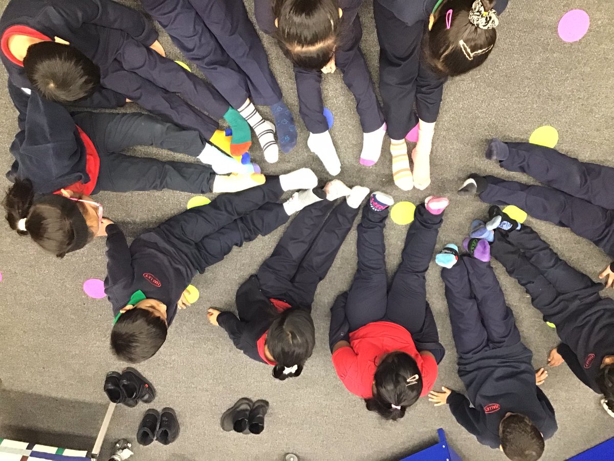 Halley Year 1 tweet media