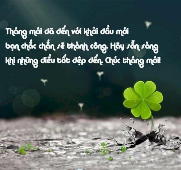 Thu Thuỷ tweet media