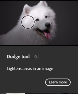 Stoopid <a href="/Adobe/">Adobe</a> can't spell Doge correctly. smh #Photoshop