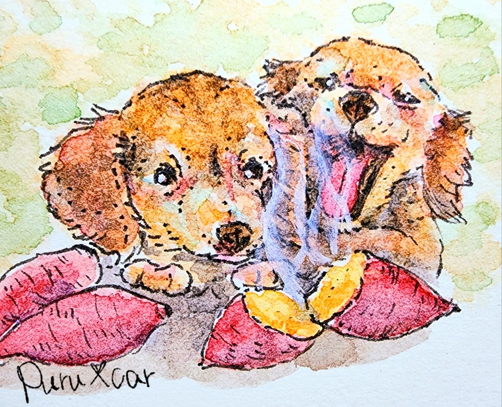 「こんばんは(•᎑•)#いい焼き芋の日  #水彩  #犬 」|ちわパイン🍍毎日お絵描きのイラスト