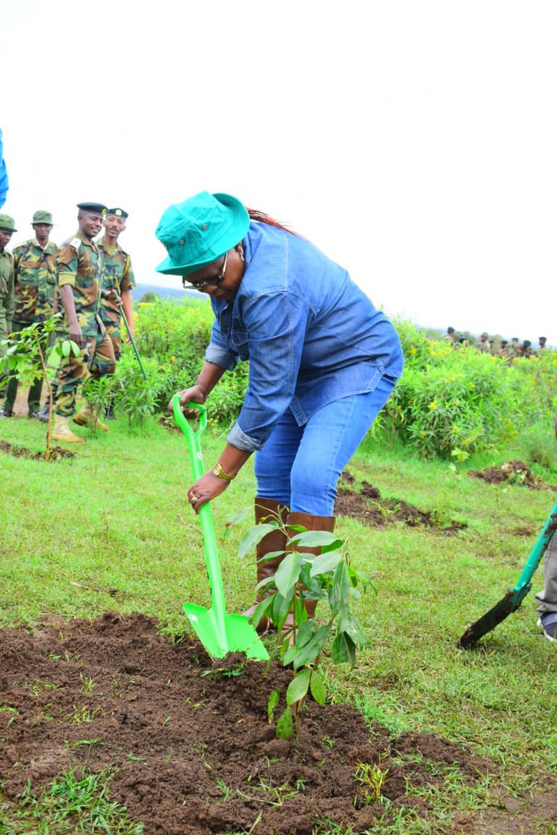 Tree Planting at Gathiuru Forest, Nyeri County. I was accompanied by Nyeri Regional Commissioner Mr. Fredrick Shisia, Nyeri Governor H.E. @GovernorKahiga, Kieni Member of Parliament Hon. Njoroge Wainaina and Nyeri County MCAs.