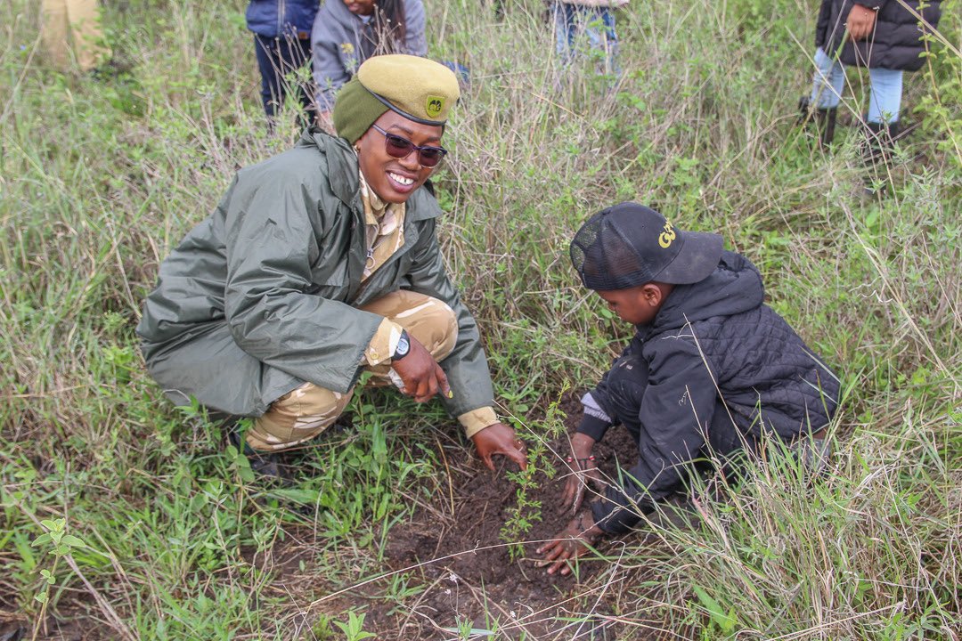 Tupo site.

#TreePlanting 
#JazaMiti 
#KWSRoadTo15BTrees
#EcosystemRestoration